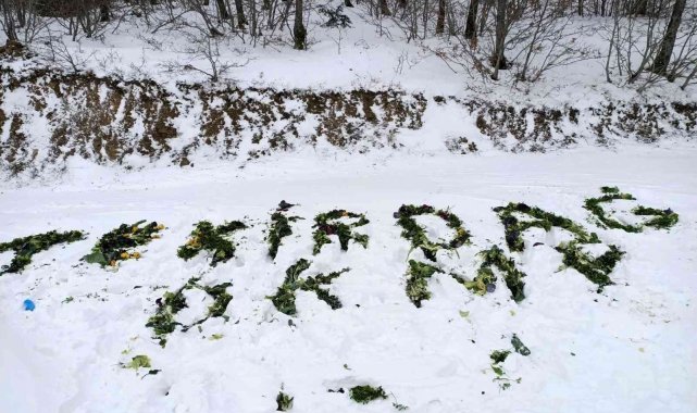 Yaban hayatı için 2 ton yem bırakıldı