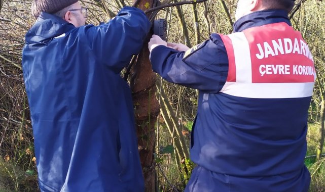 Yaban hayatı için foto kapanlar kuruldu