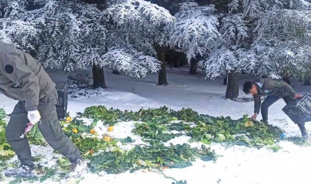 Yaban hayatına 15 ton yem bırakıldı