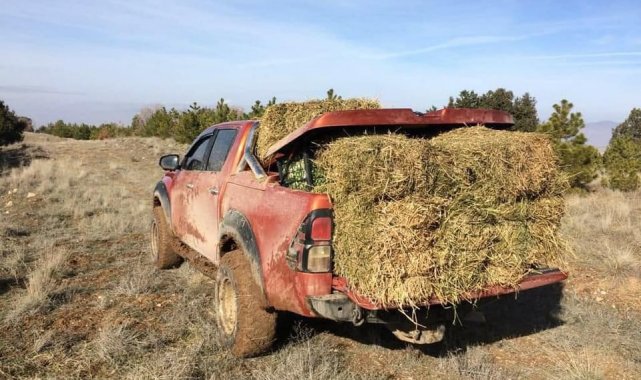 Yaban hayvanlar kış aylarında unutulmadı