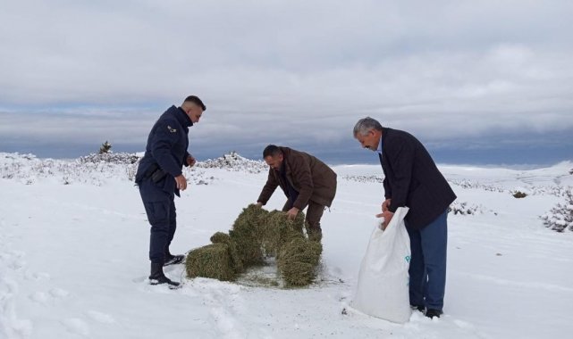 Yaban hayvanları için doğaya yem bırakıldı