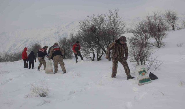 Yaban hayvanları için doğaya yem bırakıldı