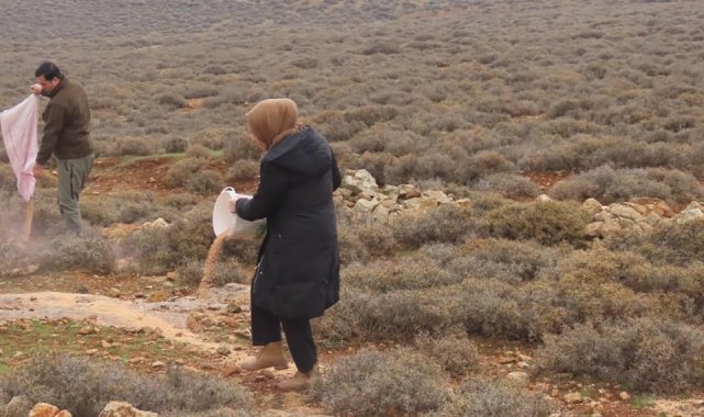 Yaban hayvanları için doğaya yem bıraktılar