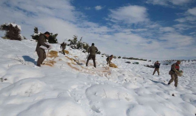 Yaban hayvanları için doğaya yem bıraktılar