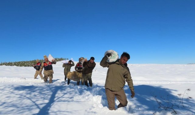 Yaban hayvanları için doğaya yem bıraktılar