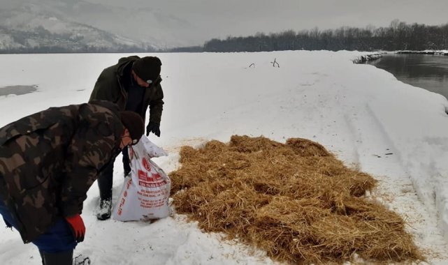 Yaban hayvanları için seferber oldular