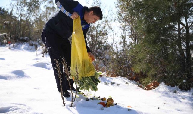 Yaban hayvanları unutulmadı