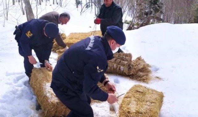 Yaban hayvanlarının yemleri jandarmadan