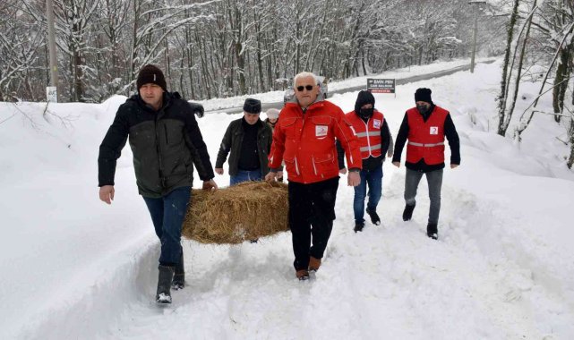 Yaban ve sokak hayvanları için kolları sıvadılar