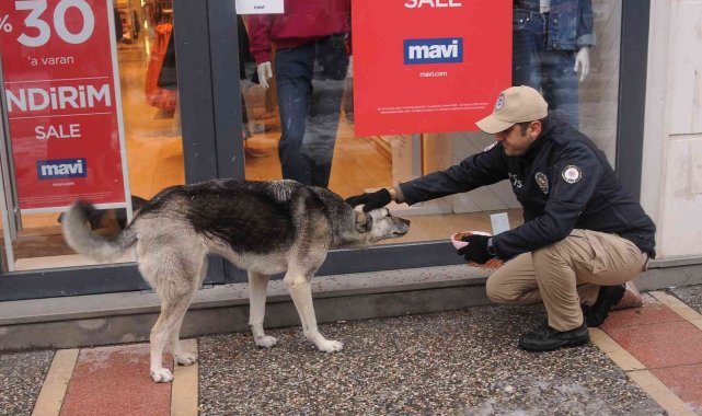 Yalova polisi sokak hayvanlarına mama bıraktı