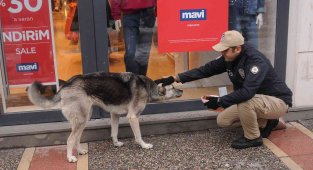 Yalova polisi sokak hayvanlarına mama bıraktı