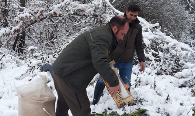 Yalova'da yaban ve av hayvanlarına yem bırakıldı