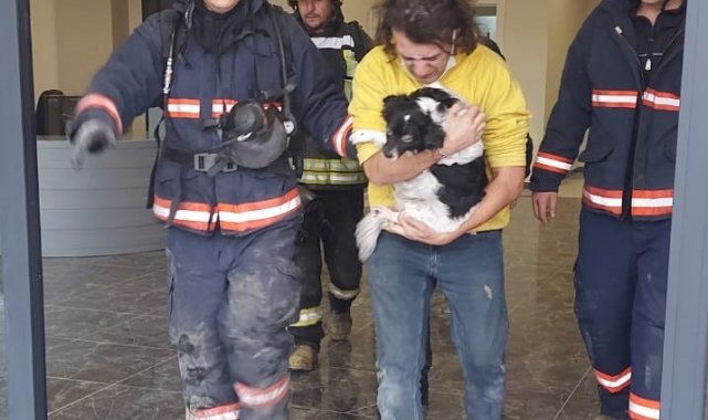 Yangında ayrı düşen köpek ve sahibini itfaiye kavuşturdu