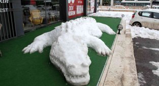 Yapımı 6 saat sürdü 11 metre uzunluğunda, görenler dönüp bir daha baktı