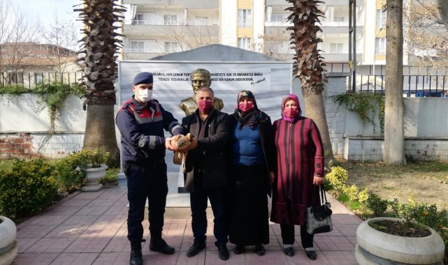 Yaralı bulunan şahin tedavi altına alındı