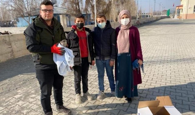 Yaralı halde bulunan atmaca tedavi altına alındı