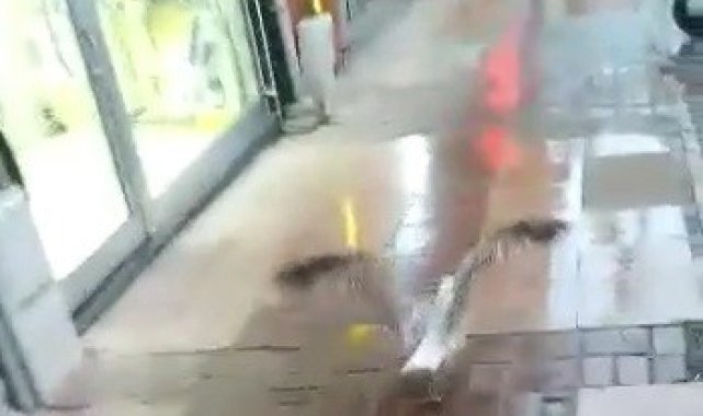 Yaralı martıyı sarıp sarmaladılar