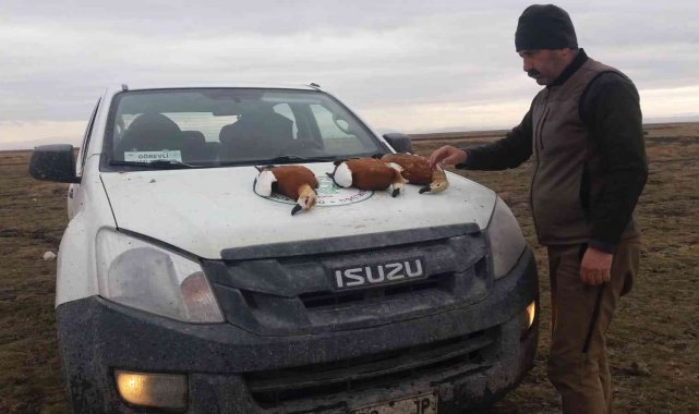 Yasa dışı avlanan 7 kişiye ceza yazıldı