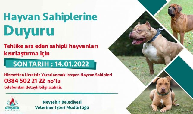 Yasaklı hayvanlar ücretsiz kısırlaştırılacak