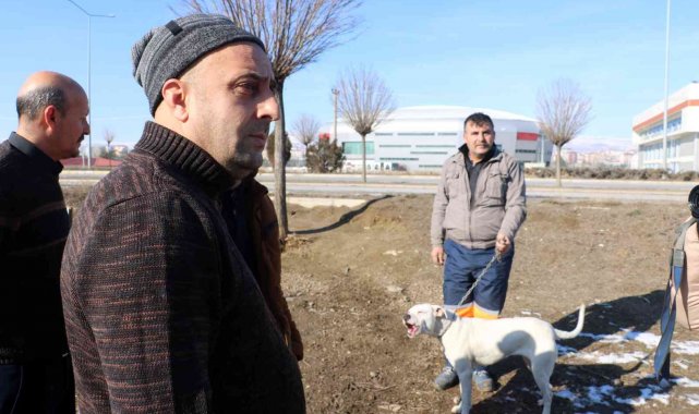 Yasaklı ırk köpeklerini kendi elleriyle teslim ettiler