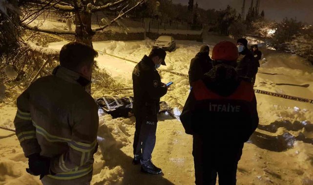 Yaşlı adam ağacın altında ölü bulundu