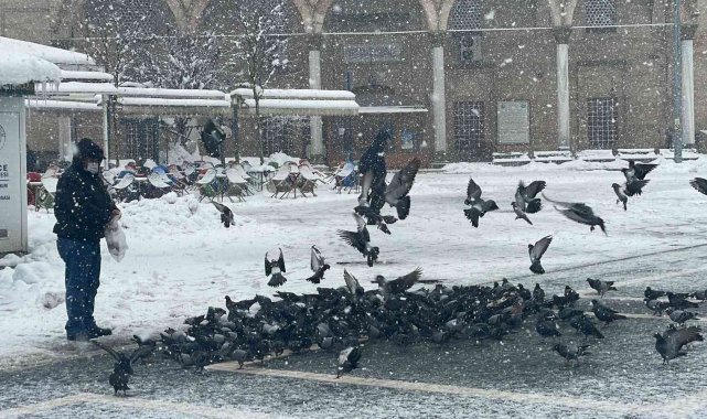 Yem bulmakta zorlanan kuşlar için seferber oldular