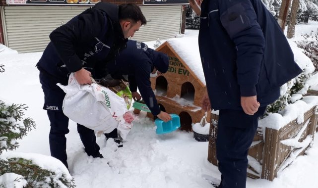 Yenişehir Belediyesi 'can dostları' unutmadı