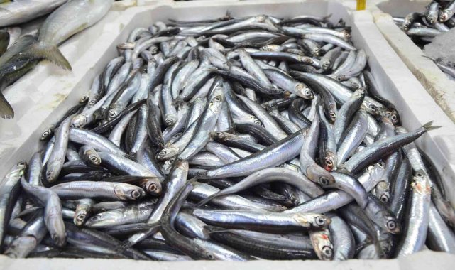 Yerli hamsi kendini tezgahlarda pahalı gösterdi: Kilosu 50 lira