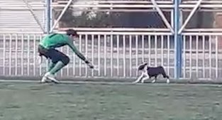 Yeşil sahada renkli görüntüler