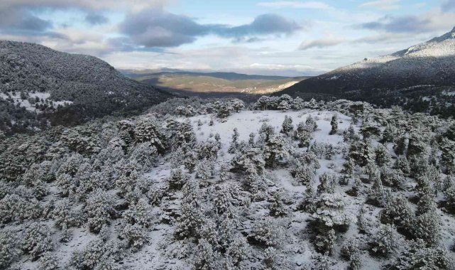 Yeşille beyazın birleşmesi kendine hayran bıraktırdı