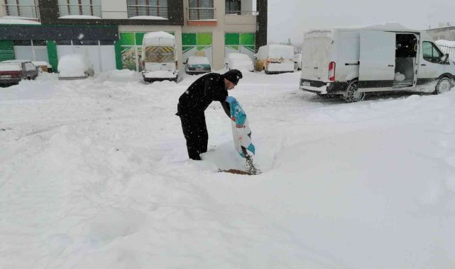 Yeşilyurt'ta sokak hayvanları unutulmadı