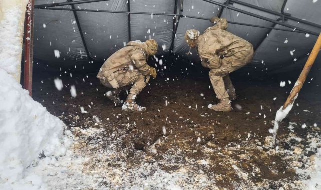 Yıkılan çadırın altına kalan hayvanlar jandarma tarafından kurtarıldı