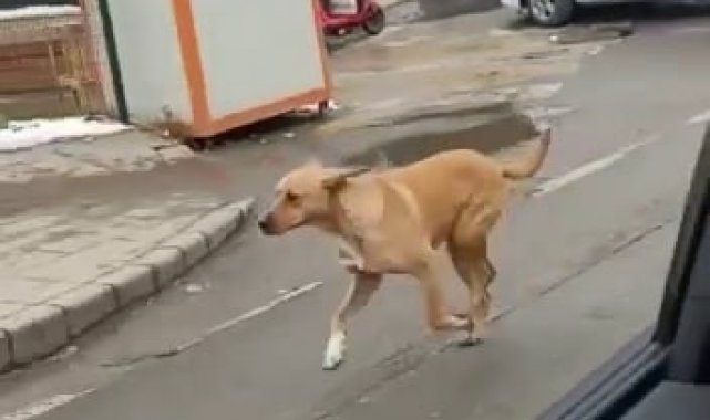 Yiyecek verdiği polisleri unutmadı, bakın ne yaptı