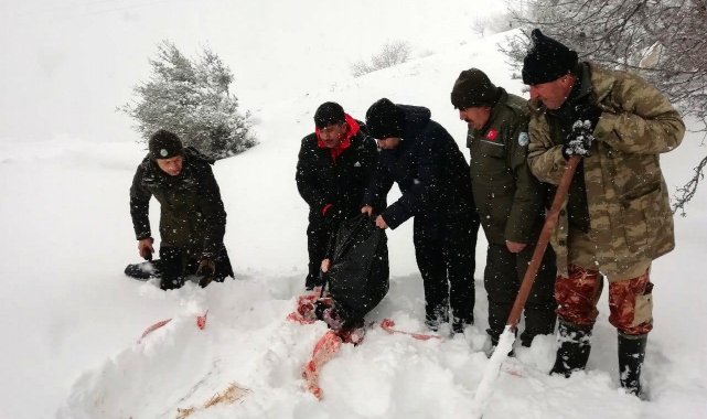 Yoğun kar yağışında yaban hayvanları unutulmadı