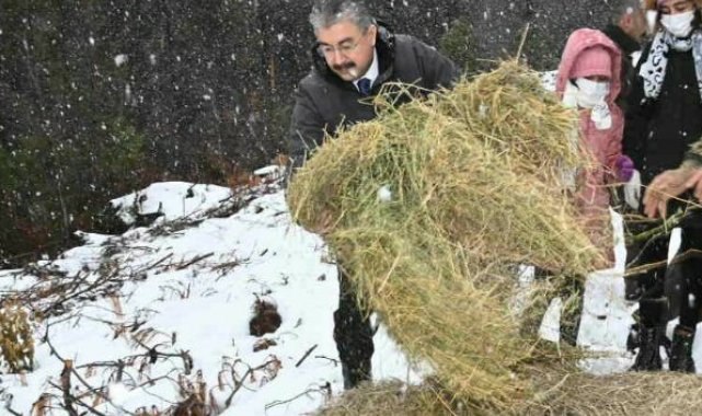 Yoğun kar yağışında yaban hayvanları unutulmadı