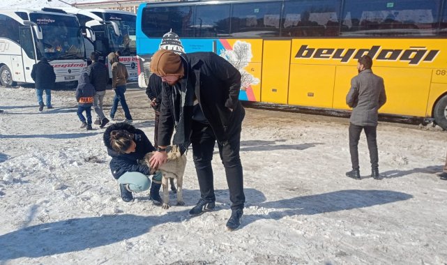 Yolda kalan yolcular köpek besleyerek zaman geçiriyor