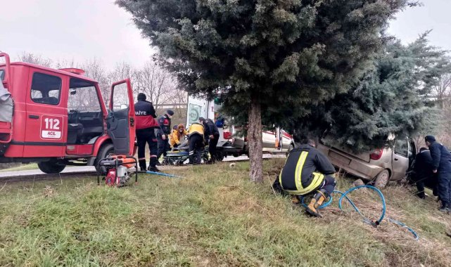 Yoldan çıktı ağaca çarparak durdu