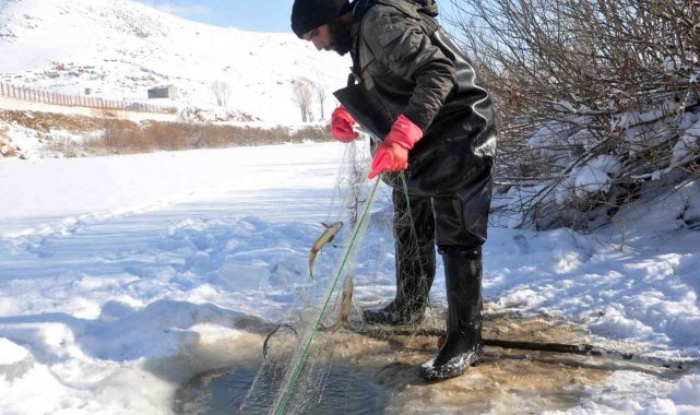 Yüksekova'da buz tutan derede kazma ve kürekli 'Eskimo usulü' balık avı