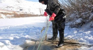 Yüksekova'da buz tutan derede kazma ve kürekli 'Eskimo usulü' balık avı