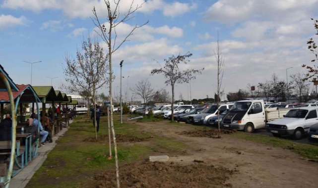 Yunusemre Belediyesinden Manisa CBÜ Hafsa Sultan Hastanesinde ağaçlandırma