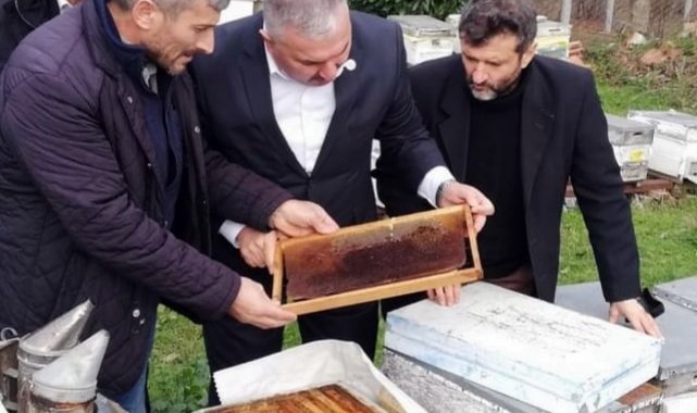 Yüzlerce arı nosema hastalığı sebebi ile telef oldu