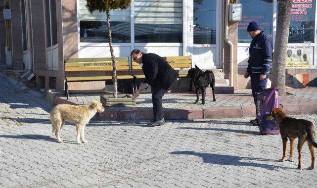 Zabıtadan hayvanlara temel yiyecek