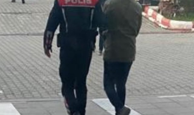 Zeytinyağı hırsızları yakalandı