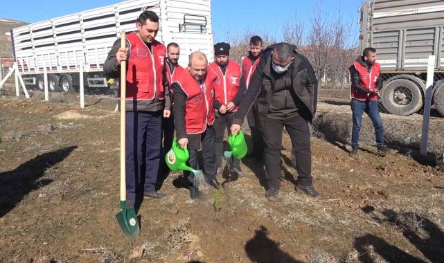 112 fidan 112 saniyede toprakla buluşturuldu