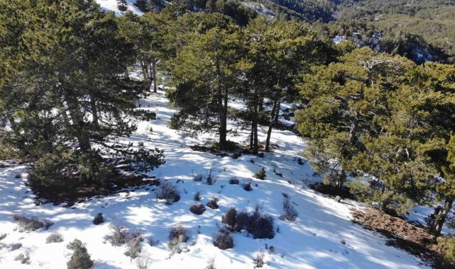 13 gündür aranan gençten acı haber