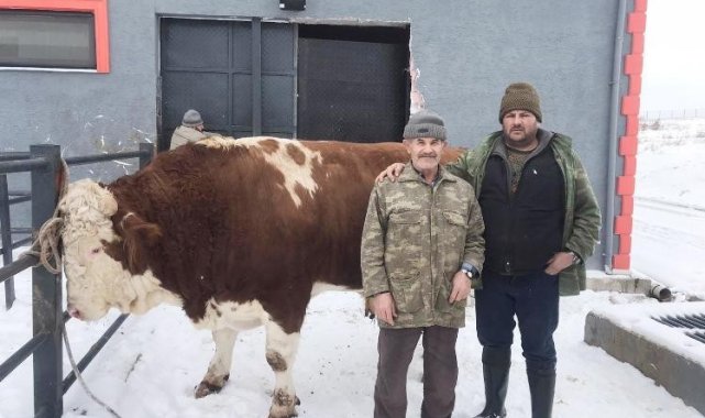 2 yılda bin 250 kiloya ulaştı