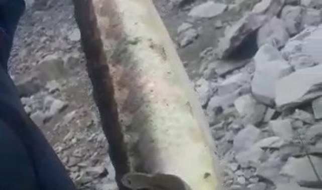 200 milyon yıldır var olan Mersin Balığı Gümüşhane'de görüldü