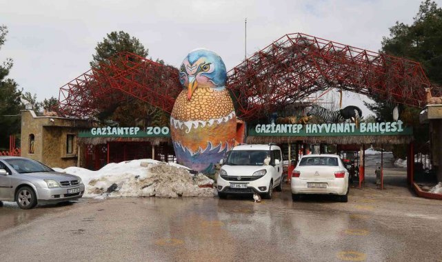 2021&#039;de Gaziantep Hayvanat Bahçesini 2 milyon 750 bin kişi ziyaret etti