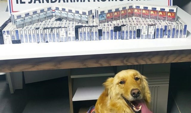 286 paket kaçak sigara bulundu