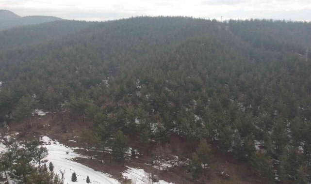 30 milyon ağaç dikerek bölgenin geleceğine dokundu